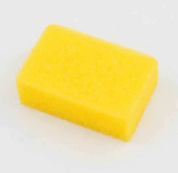 Insect sponge, hard, yellow