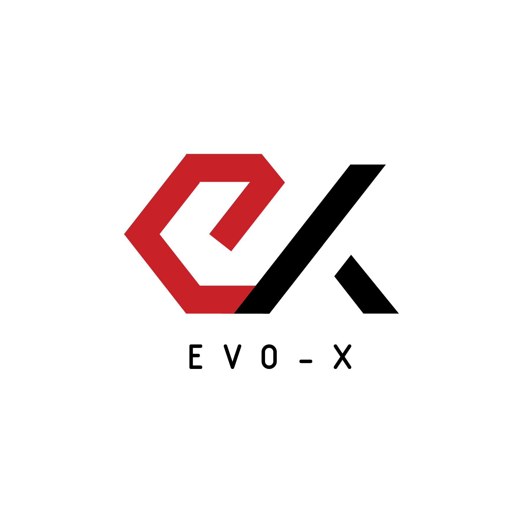 EVO-X AUTO TUNING